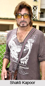 Bigg Boss Season 5