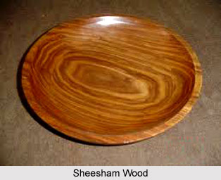 Wood Crafts of Central India
