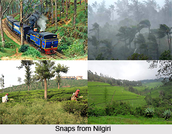Nilgiris District