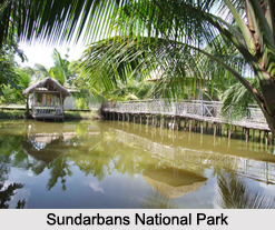 National Parks of West Bengal
