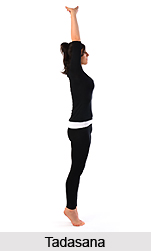 Yoga for Obesity, Yoga and Health