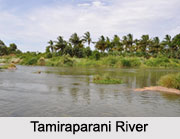 Tirunelveli, Tirunelveli District, Tamil Nadu