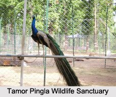 Wildlife Sanctuaries of Central India