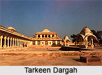 Geography of Nagaur District