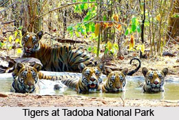 National Parks of West India
