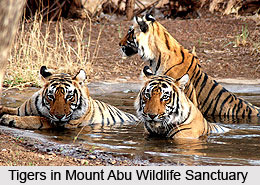 National Parks of West India