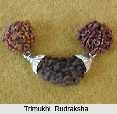 Rudraksha  Mala