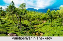 Thekkady , Idukki