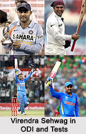 Virender Sehwag, Indian Cricket Player