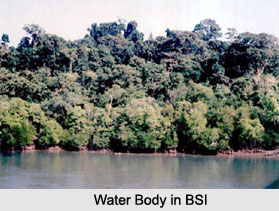 Botanical Survey of India, Andaman and Nicobar Islands