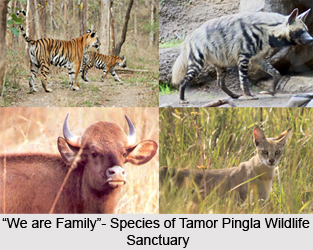 Tourism in Surguja District