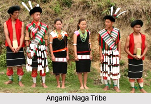 Kohima District, Nagaland