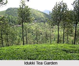 Economy of  Idukki District , Kerala