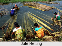 Jute in India