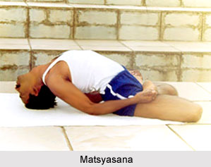 Yoga for Spinal Cord Problems, Yoga and Health