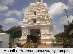 Ananthagiri Hills, Ranga Reddy District, Telangana