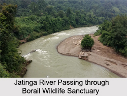 Borail Wildlife Sanctuary, Assam