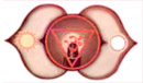 Aagya chakra