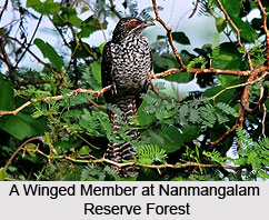 Reserved Forests in India