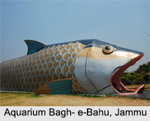 Aquaria in India