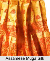 Types of Sarees