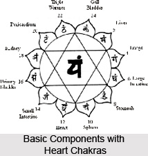 A meditative exercise on the seven hearts  , Chakra System