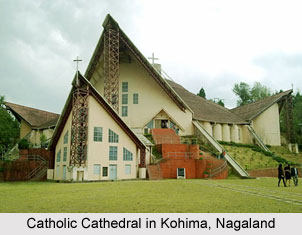 Nagaland, Indian State