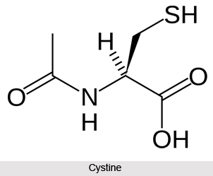 Importance of Amino Acids in Naturopathy