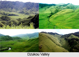 Tourism In Nagaland