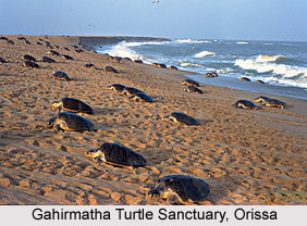 Eco Parks in India