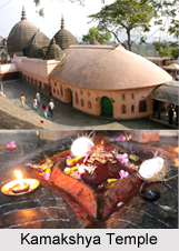 Four Adi Shakti Pithas, Shakti Peethas in India
