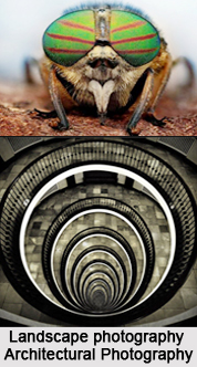 Types of Photography, Indian Photography