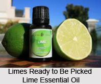 Fruit Oils in Aromatherapy