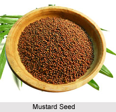 Ayurvedic Spices