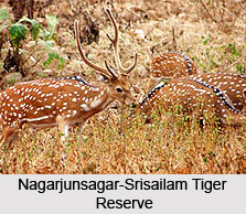 Leisure Tourism in Telangana