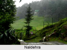Shimla, Himachal Pradesh