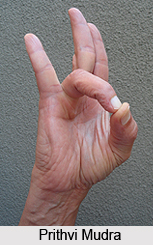 Anguli Mudra
