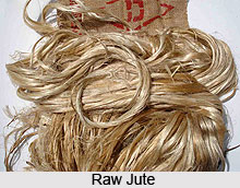 Jute in India