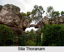 Tirupati , Andhra Pradesh