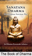 Vedic Civilisation in India