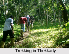 Thekkady , Idukki