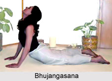 Yoga Regimens for the Athletes