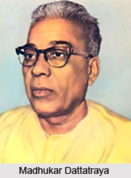 Rashtriya Swayamsevak Sangh, Indian Volunteer Organisation