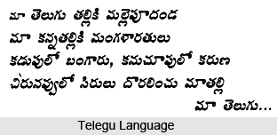 Languages of South India