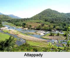 Tourism in Palakkad