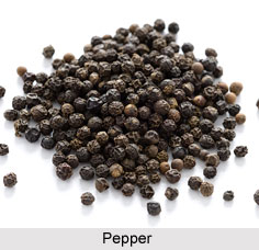 Ayurvedic Spices
