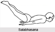 Hatha Yoga Asanas