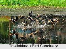 Tourism in Ernakulam