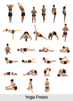 Role of Yoga Asana in Daily Life