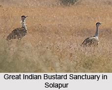 Solapur District, Maharashtra